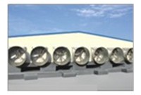 新老蛋鸡的治理方式