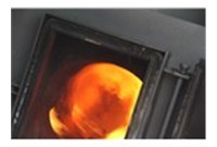 病害殒命家禽处理