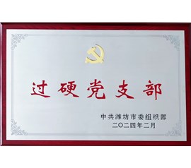 喜报！！！博世体育党支部荣获潍坊市“过硬党支部”称呼