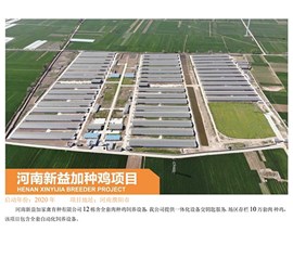 河南新益加种鸡项目
