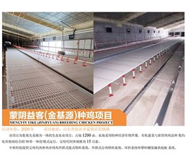 Mengyin Yike (Jin Jiyuan) breeding chicken project