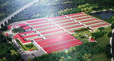 项目直击 | 大连绿雪非笼养二期项目完工投产