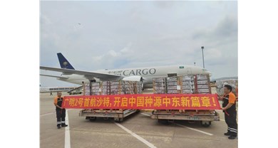 山东新广农牧广明 2 号首航沙特，开启中国种源中东新篇章
