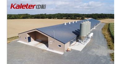 博世体育又一非笼养项目落户北京平谷，，单栋3万羽打造福利养殖新标杆