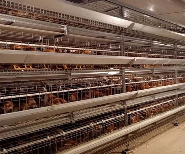 Jiangsu Junman project