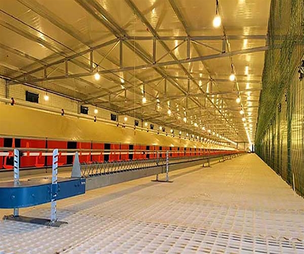 Cage-free floor raising equipment