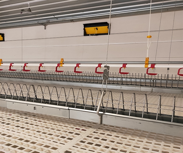 Jinghai Poultry industry