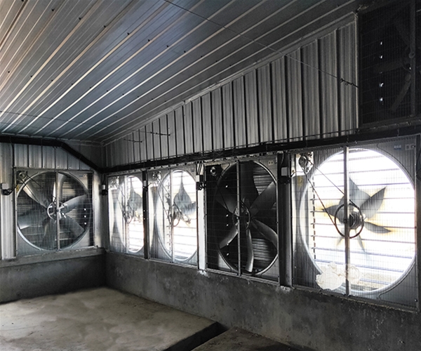 Bengbu Dacheng project