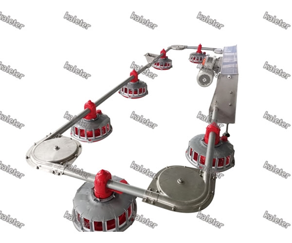 母鸡盘式喂料系统