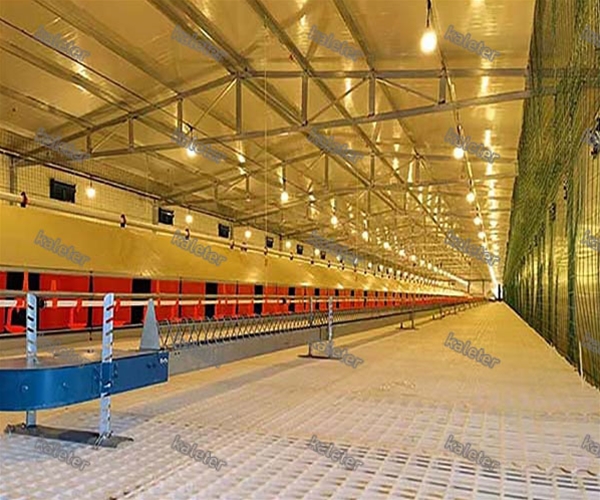 非笼养平养系统