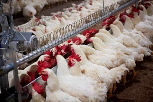 博世体育(中国集团)官方网站