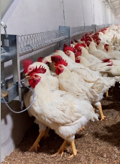 博世体育(中国集团)官方网站