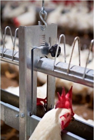 博世体育(中国集团)官方网站